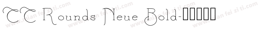 TT Rounds Neue Bold字体转换
